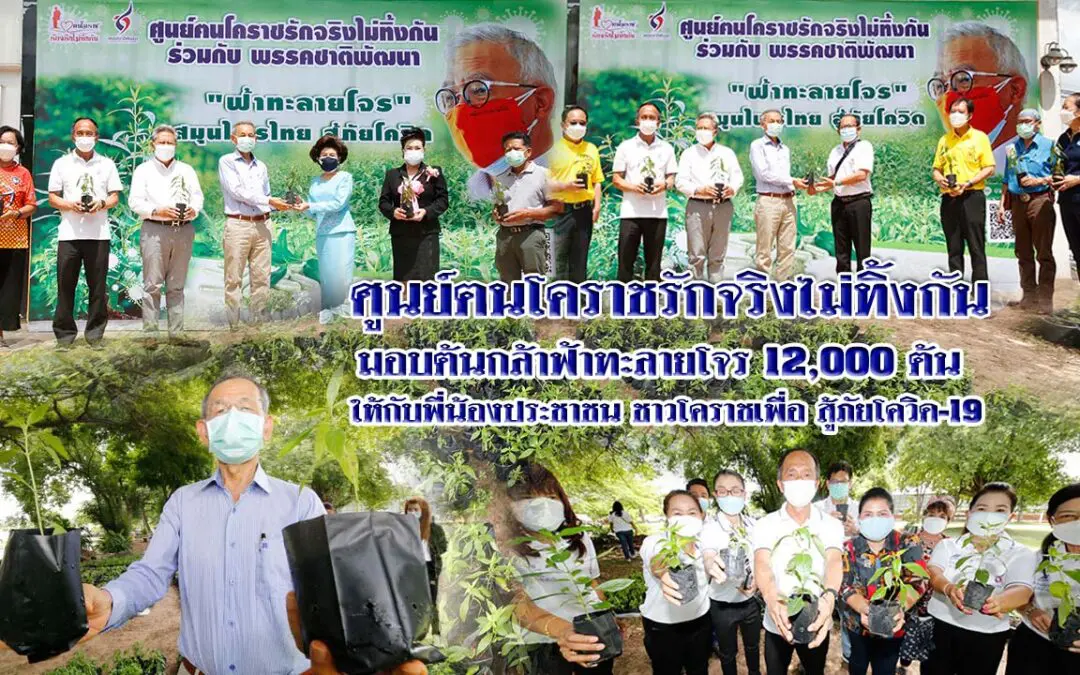 “ศูนย์ฅนโคราชรักจริงไม่ทิ้งกัน” มอบต้นกล้าฟ้าทะลายโจร 12,000 ต้น ให้กับพี่น้องประชาชน ชาวโคราชเพื่อ สู้ภัยโควิด-19