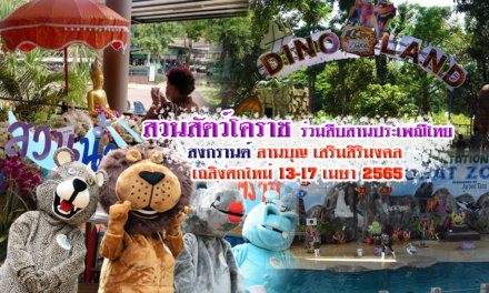 สวนสัตว์โคราช ร่วมสืบสานประเพณีไทยสงกรานต์ลานบุญ เสริมสิริมงคล เถลิงศกใหม่13-17 เมษา 2565
