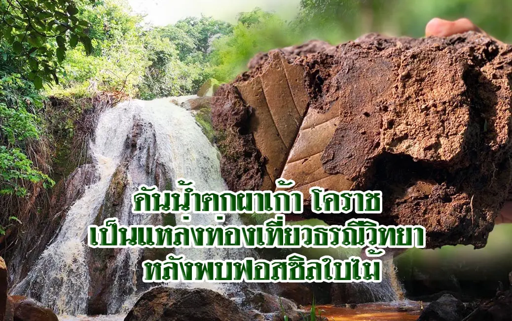 ดันน้ำตกผาเก้า โคราช เป็นแหล่งท่องเที่ยวธรณีวิทยา หลังพบฟอสซิลใบไม้