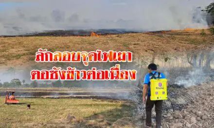 ชาวนาพิมาย เผาตอซังข้าวต่อเนื่อง ทำฝุ่นควัน สร้างมลพิษทางอากาศ PM 2.5 พุ่งสูง