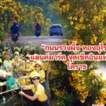 แลนค์มาร์ค จุดเช็คอินแห่งใหม่ โคราช ถนนรวงผึ้ง-ทองอุไร