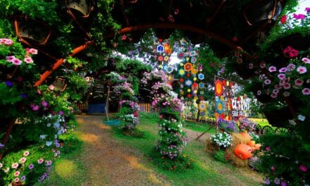 จิมทอมสัน บนพื้นที่กว่า 750 ไร่ กับคอนเซป แซบนั่ว หัวม่วน 2561