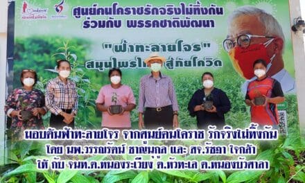 มอบต้นฟ้าทะลายโจร จากศูนย์ฅนโคราช รักจริง ไม่ทิ้งกัน โดย นพ.วรรณรัตน์ ชาญนุกูล และ สจ.รัชฎา ใจกล้า ให้ กับ จนท.ต.หนองระเวียง ต.หัวทะเล ต.หนองบัวศาลา