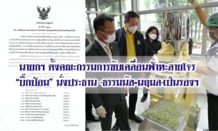 นายกฯ ตั้งคณะกรรมการขับเคลื่อนฟ้าทะลายโจร “บิ๊กป้อม” นั่งประธาน “ธรรมนัส-นฤมล”เป็นรองฯ