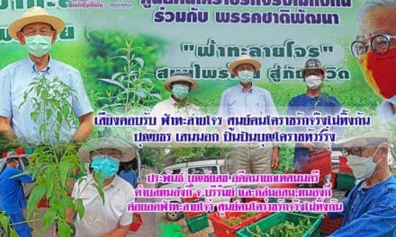 เสียงตอบรับ ฟ้าทะลายโจร ศูนย์ฅนโคราชรักจริงไม่ทิ้งกัน