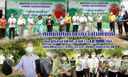 “ศูนย์ฅนโคราชรักจริงไม่ทิ้งกัน” มอบต้นกล้าฟ้าทะลายโจร 12,000 ต้น ให้กับพี่น้องประชาชน ชาวโคราชเพื่อ สู้ภัยโควิด-19