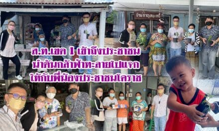 ส.ท.เขต 1 เข้าถึงประชาชน นำต้นกล้าฟ้าทะลายโจรไปแจก ให้กับพี่น้องประชาชนโคราช