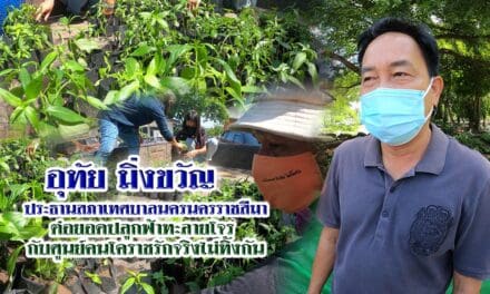 อุทัย มิ่งขวัญ ประธานสภาเทศบาลนครนครราชสีมา ต่อยอดปลูกฟ้าทะลายโจร  กับศูนย์ฅนโคราชรักจริงไม่ทิ้งกัน