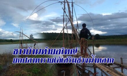 ชาวบ้านทำยอใหญ่ยกปลาหารายได้เสริมช่วงน้ำหลาก