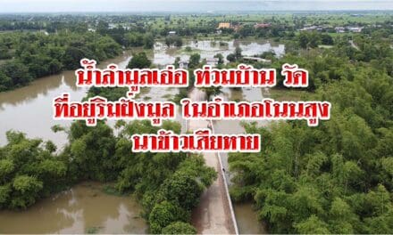 น้ำลำมูลเอ่อ ท่วมบ้าน วัด ที่อยู่ริมฝั่งมูล ในอำเภอโนนสูง นาข้าวเสียหาย