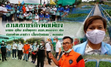 สวนเศรษฐกิจพอเพียง นายกสุทิน ชาติพุดซา อบต.หนองกระทุ่ม ปลูกฟ้าทะลายโจร เลี้ยงกุ้งฝอย หอยขม