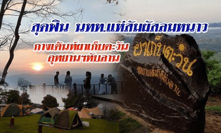 สุดฟิน นทท.แห่สัมผัสลมหนาวกางเต้นท์ผาเก็บตะวัน อุทยานฯทับลาน