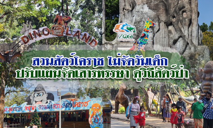 สวนสัตว์โคราช ไม่จัดวันเด็ก ปรับแผนจัดเสาร์หรรษา ดูวิถีสัตว์ป่า