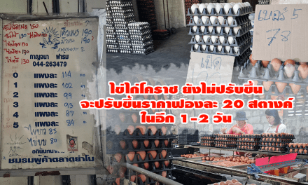 ร้านขายส่งไข่ไก่โคราช ยังไม่ปรับขึ้นราคา จะปรับขึ้นราคาฟองละ 20 สตางค์ในอีก 1-2 วัน