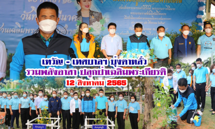 เทวัญ – เทศบาลฯ บุ่งตาหลั่ว รวมพลังอาสาปลูกป่าเฉลิมพระเกียรติ 12 สิงหาคม 2565￼