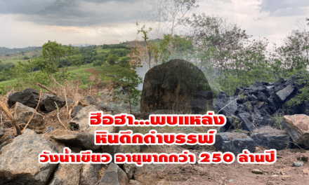 ฮือฮา…พบแหล่งหินดึกดำบรรพ์ วังน้ำเขียว อายุมากกว่า 250 ล้านปี 