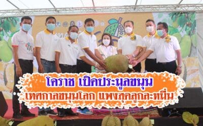 โคราช เปิดประมูลขนุนเทศกาลขนุนโลก แพงสุดลูกละหมื่น
