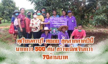 ทุเรียนครบุรี ทยอยสู่ตลาดคาดปีนี้มากกว่า500ตัน สร้างเม็ดเงินกว่า70ล้านบาท