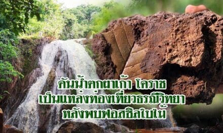 ดันน้ำตกผาเก้า โคราช เป็นแหล่งท่องเที่ยวธรณีวิทยา หลังพบฟอสซิลใบไม้