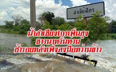 น้ำลำเชียงไกรเพิ่มสูงชาวนา หวั่นท่วมซ้ำรอยหลังเพิ่งลงมือหว่านข้าว