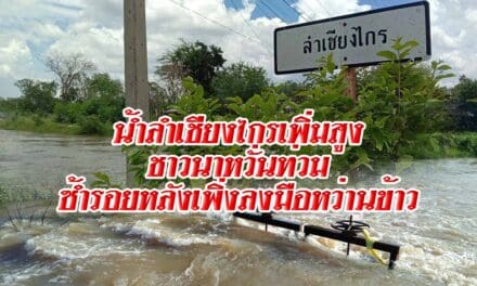น้ำลำเชียงไกรเพิ่มสูงชาวนา หวั่นท่วมซ้ำรอยหลังเพิ่งลงมือหว่านข้าว
