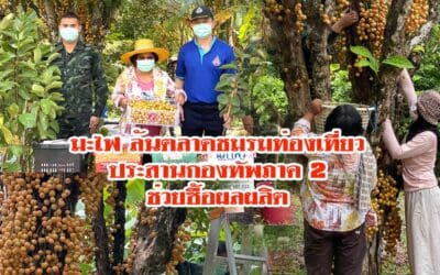 มะไฟ ล้นตลาดชมรมท่องเที่ยวประสานกองทัพภาค 2 ช่วยซื้อผลผลิต