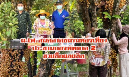 มะไฟ ล้นตลาดชมรมท่องเที่ยวประสานกองทัพภาค 2 ช่วยซื้อผลผลิต