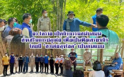 ผว.โคราช เปิดกิจกรรมสนับสนุนส่งเสริมการปลูกไผ่ เพื่อเป็นพืชเศรษฐกิจ โดยมี “สวนไผ่ลุงโชค”เป็นต้นแบบ