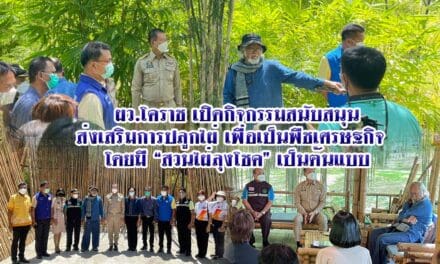 ผว.โคราช เปิดกิจกรรมสนับสนุนส่งเสริมการปลูกไผ่ เพื่อเป็นพืชเศรษฐกิจ  โดยมี “สวนไผ่ลุงโชค”เป็นต้นแบบ