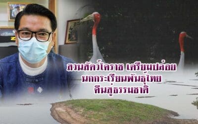 สวนสัตว์โคราช เตรียมปล่อยนกกระเรียนพันธุ์ไทยคืนสู่ธรรมชาติ