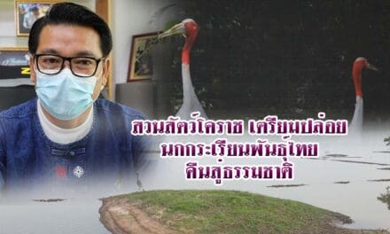 สวนสัตว์โคราช เตรียมปล่อยนกกระเรียนพันธุ์ไทยคืนสู่ธรรมชาติ