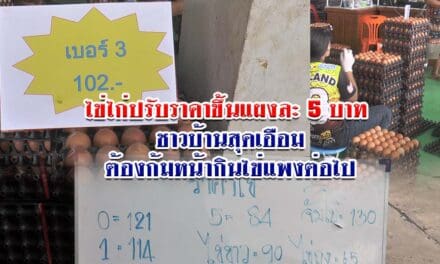 ไข่ไก่ปรับราคาขึ้นแผงละ 5 บาท ชาวบ้านสุดเอือมต้องก้มหน้ากินไข่แพงต่อไป