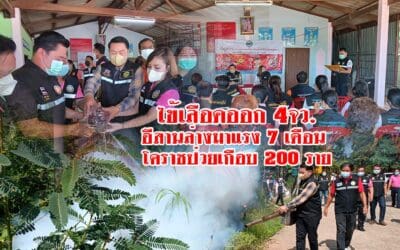 ไข้เลือดออก 4จว. อีสานล่างมาแรง 7เดือน โคราชป่วยเกือบ 200 ราย