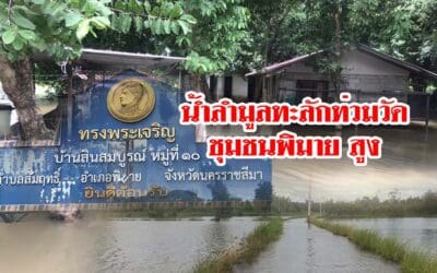 น้ำลำมูลทะลักท่วมวัด ชุมชนพิมายสูง
