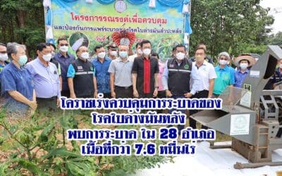 โคราชเร่งควบคุมการระบาดของโรคใบด่างมัน หลัง พบการระบาด ใน28อำเภอเนื้อที่กว่า 7.6 หมื่นไร่