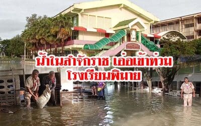 น้ำในลำจักราชเอ่อเข้าท่วมโรงเรียนพิมาย ครูขนของหนี้น้ำกันจ้าละหวั่น