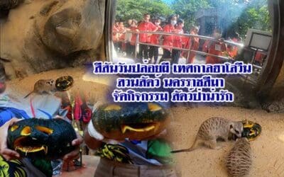 สวนสัตว์นครราชสีมา จัดงานสีสันวันปล่อยผี เทศกาลฮาโลวีน
