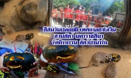  สวนสัตว์นครราชสีมา  จัดงานสีสันวันปล่อยผี เทศกาลฮาโลวีน