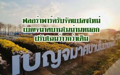 เบญจมาศบานในม่านหมอกปรับโฉมว๊าวกว่าเดิม ฟลอร่าพาร์ครับจัดแปลงใหม่
