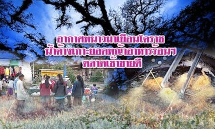 อากาศหนาวมาเยือนโคราช น้ำค้างเกาะยอดหญ้าอาหารร้อนๆ ตลาดเช้าขายดี