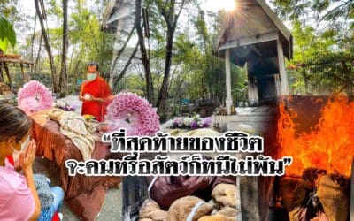 วัดหนองปรู บริการเตาเผาของสัตว์เลี้ยง พร้อมพิธี ราคาพิเศษ