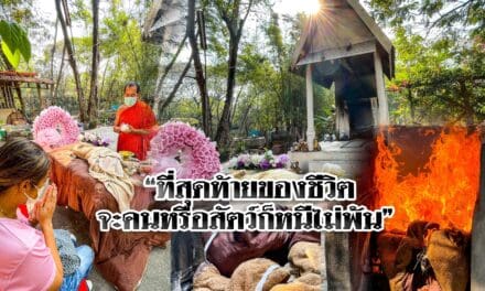 วัดหนองปรู  บริการเตาเผาของสัตว์เลี้ยง พร้อมพิธี ราคาพิเศษ