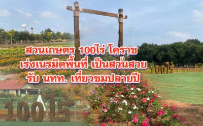 สวนเกษตร100ไร่ โคราช เร่งเนรมิตพื้นที่เป็นสวนสวยรับ นทท. เที่ยวชมปลายปี