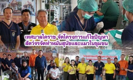 เทศบาลโคราช จัดโครงการแก้ไขปัญหาสัตว์จรจัดทำหมันสุนัขและแมวในชุมชน